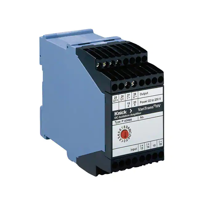 P43000D2 Knick Interface