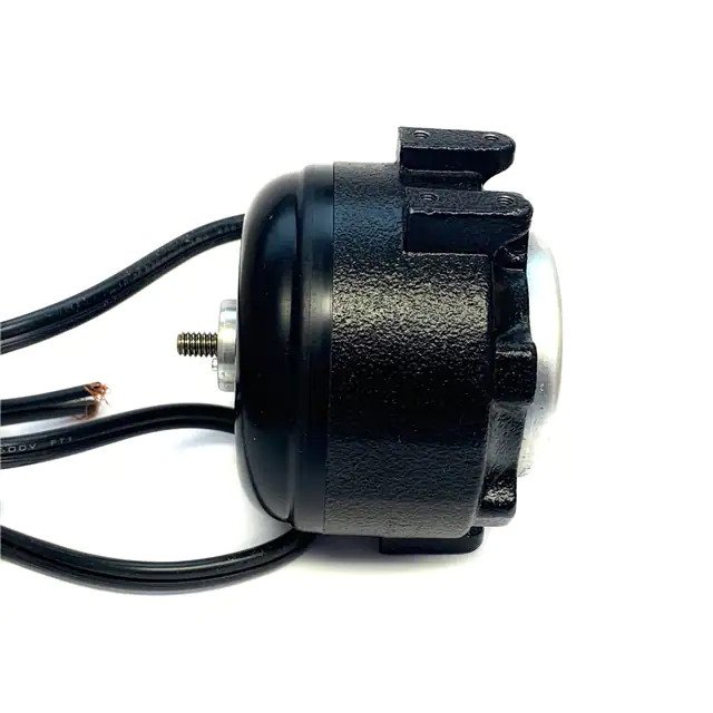 SPFBG161 Electric Motors & Specialties